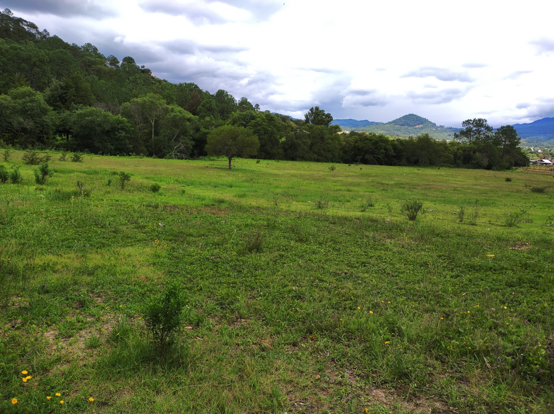 Lotes en Villa de las Flores, Tlaxiaco